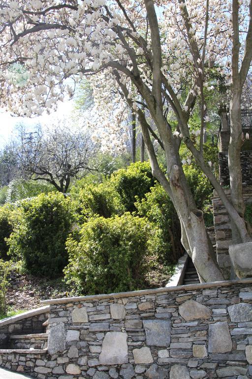 La Ciliegia Bianca Bed & Breakfast Belgirate Dış mekan fotoğraf
