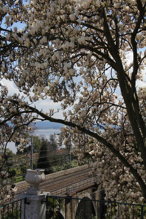 La Ciliegia Bianca Bed & Breakfast Belgirate Dış mekan fotoğraf